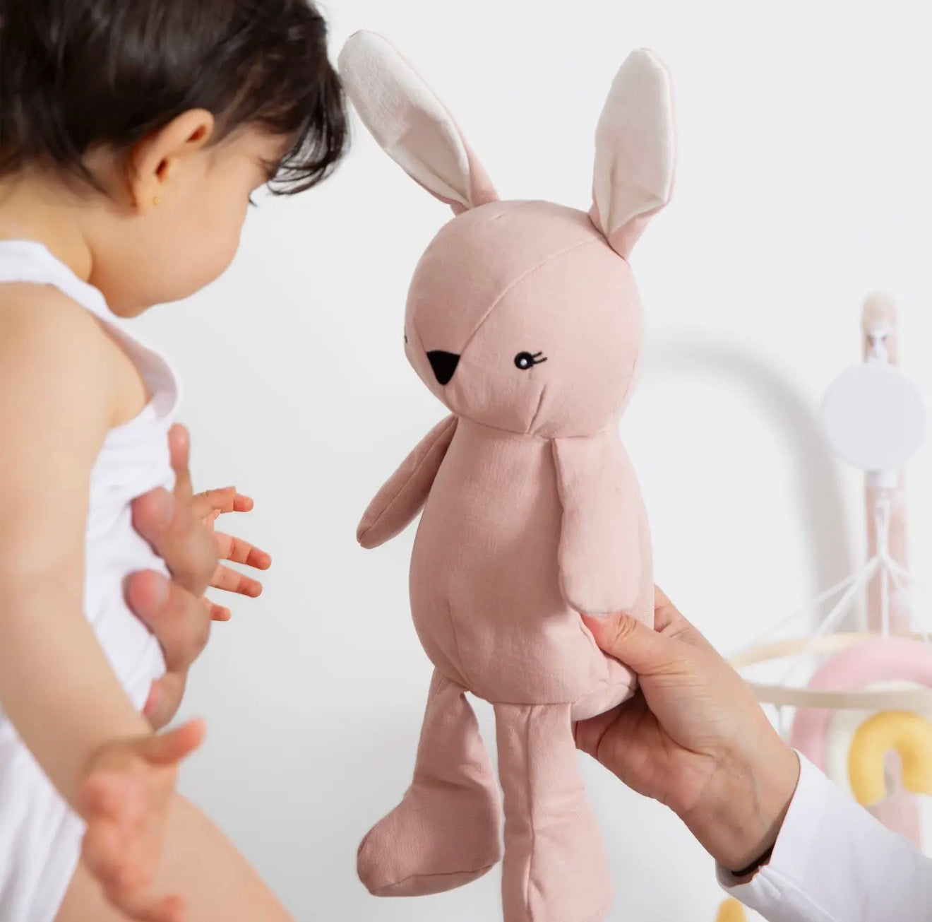 Bunny Toy - Large
